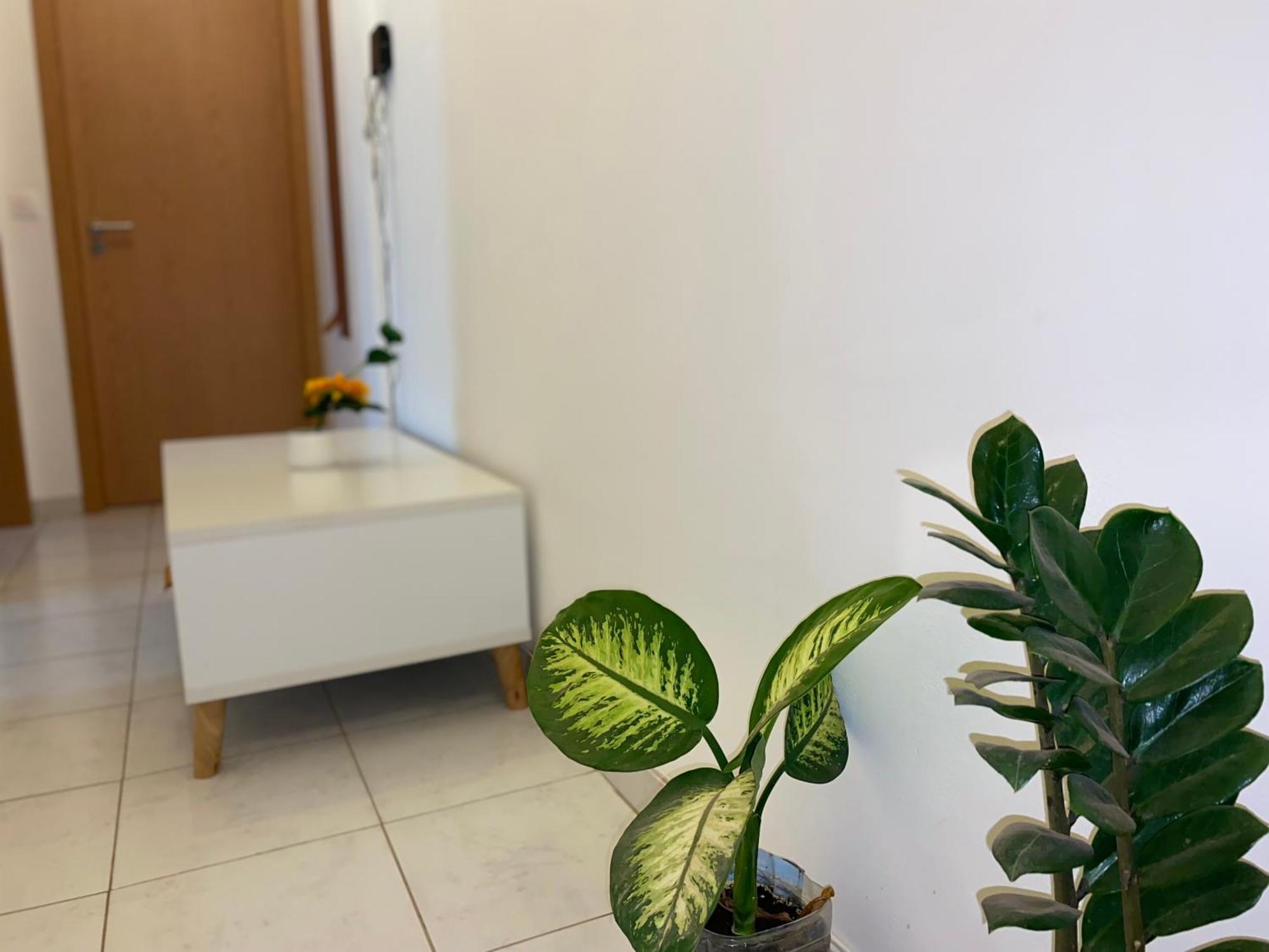 Apartamento T2 Equipado E Aconchegante. ปรายา ภายนอก รูปภาพ